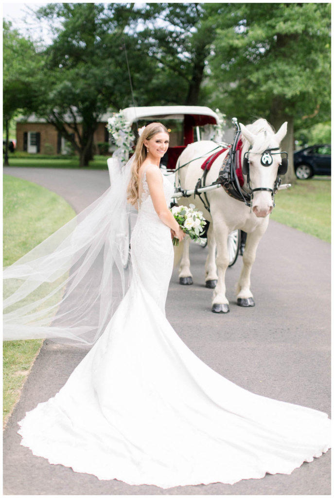 bride with horse and carriage